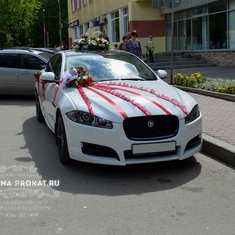 Цветочная композиция A10511